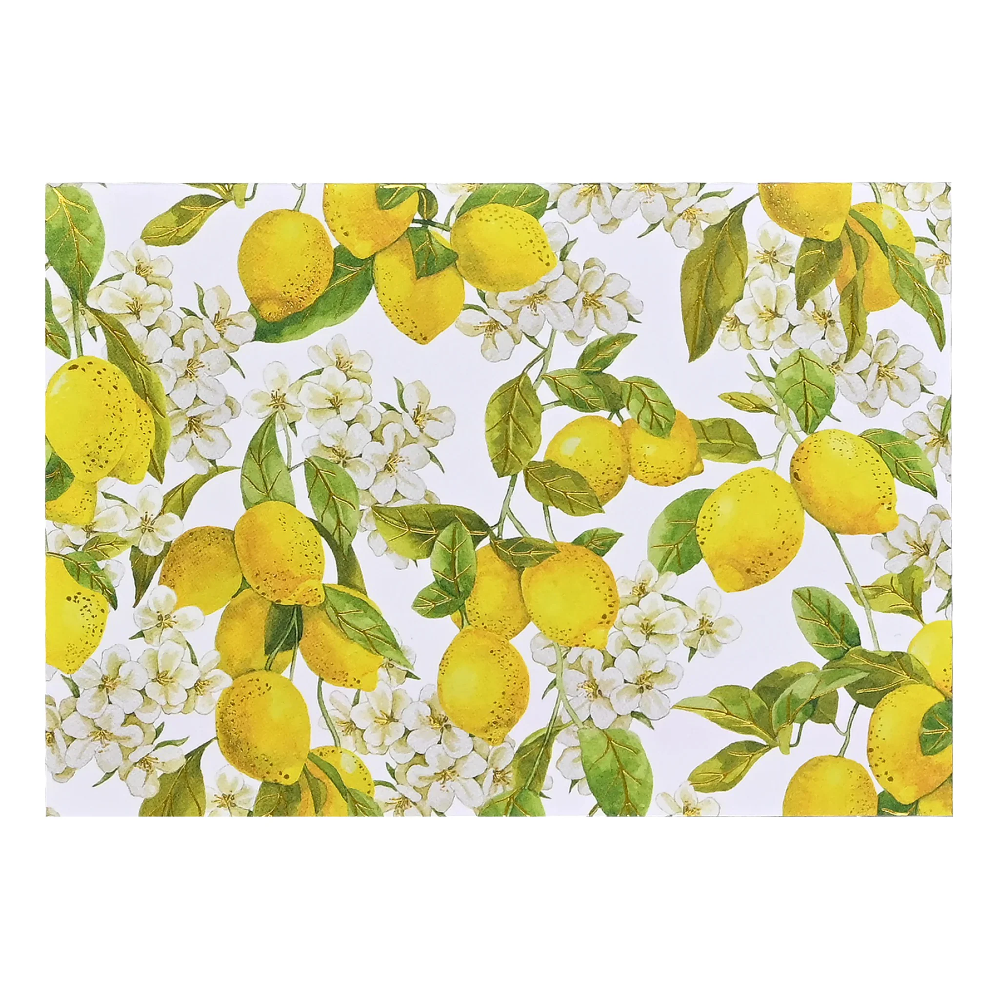 Amalfi Lemons Boxed Note Cards