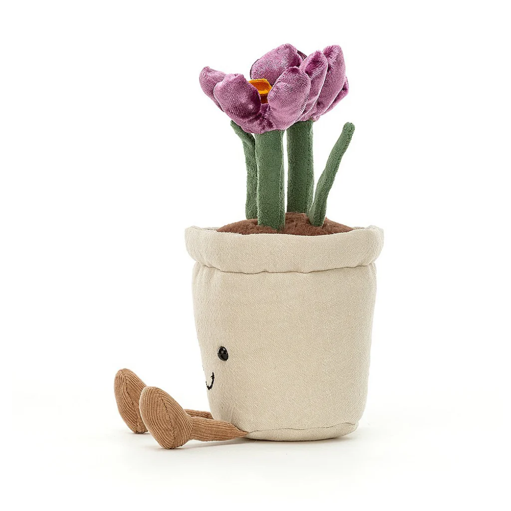 Amuseable Crocus - Image 2