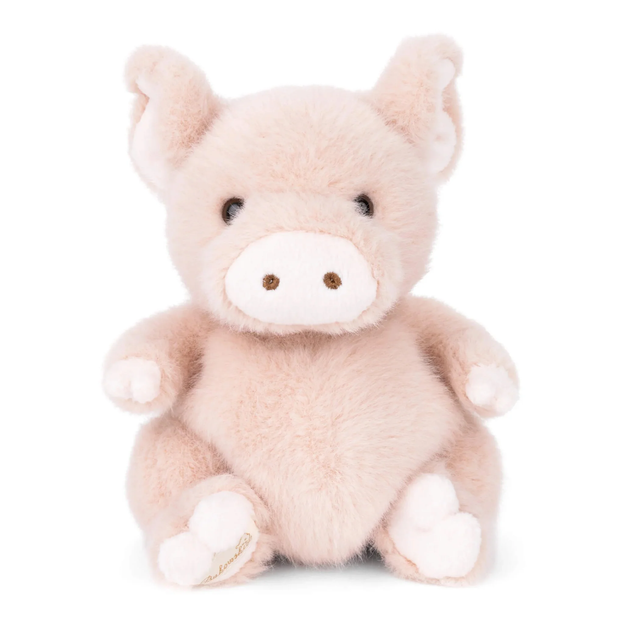 Baby Oink Plush