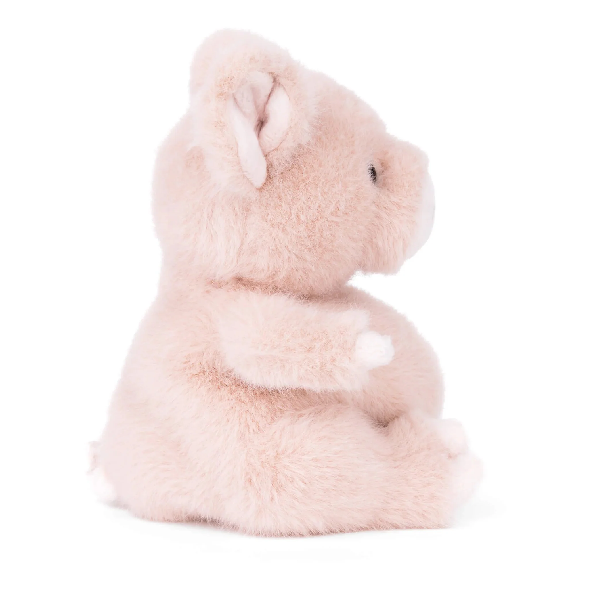Baby Oink Plush - Image 3