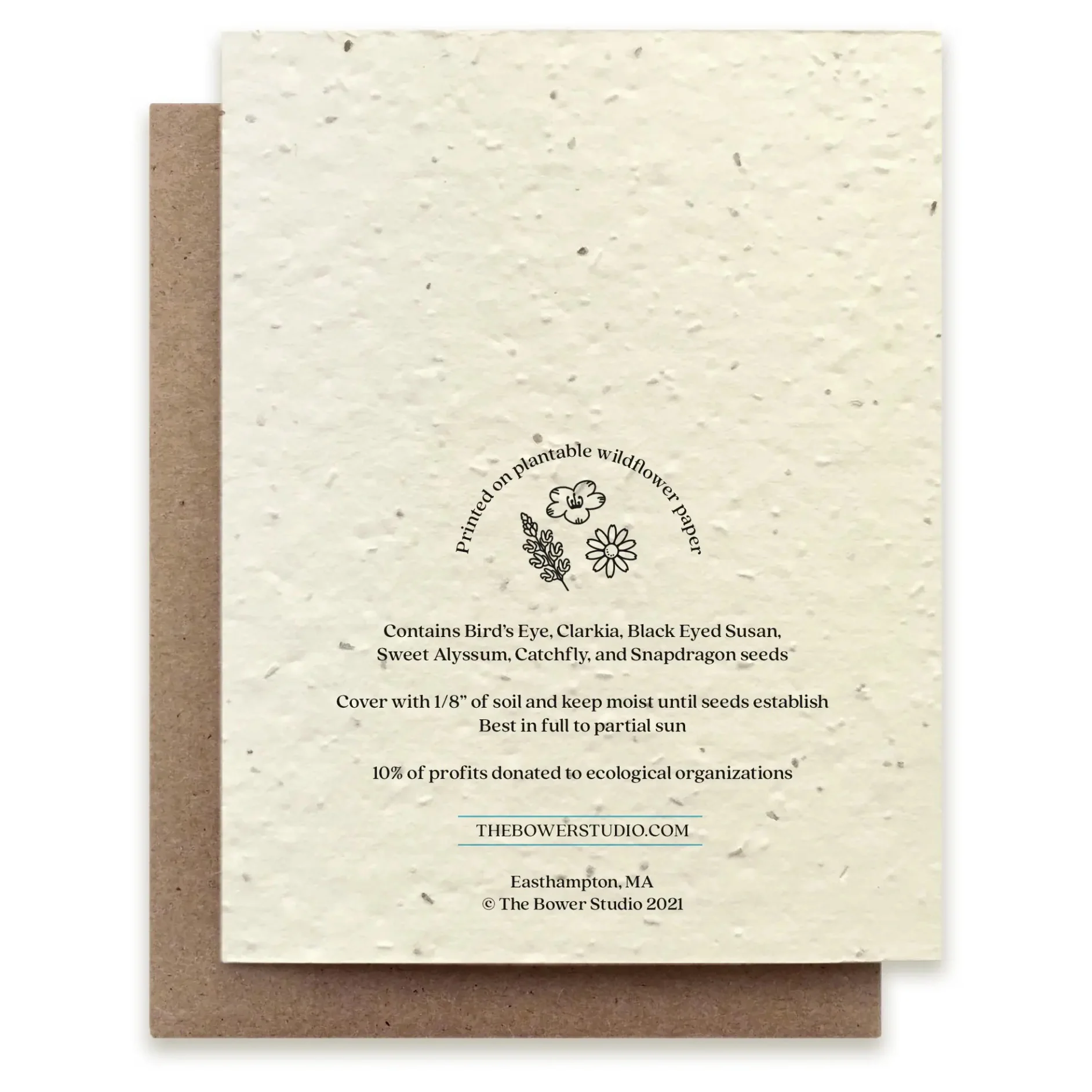 Bluebird Seed Paper Card - Image 2