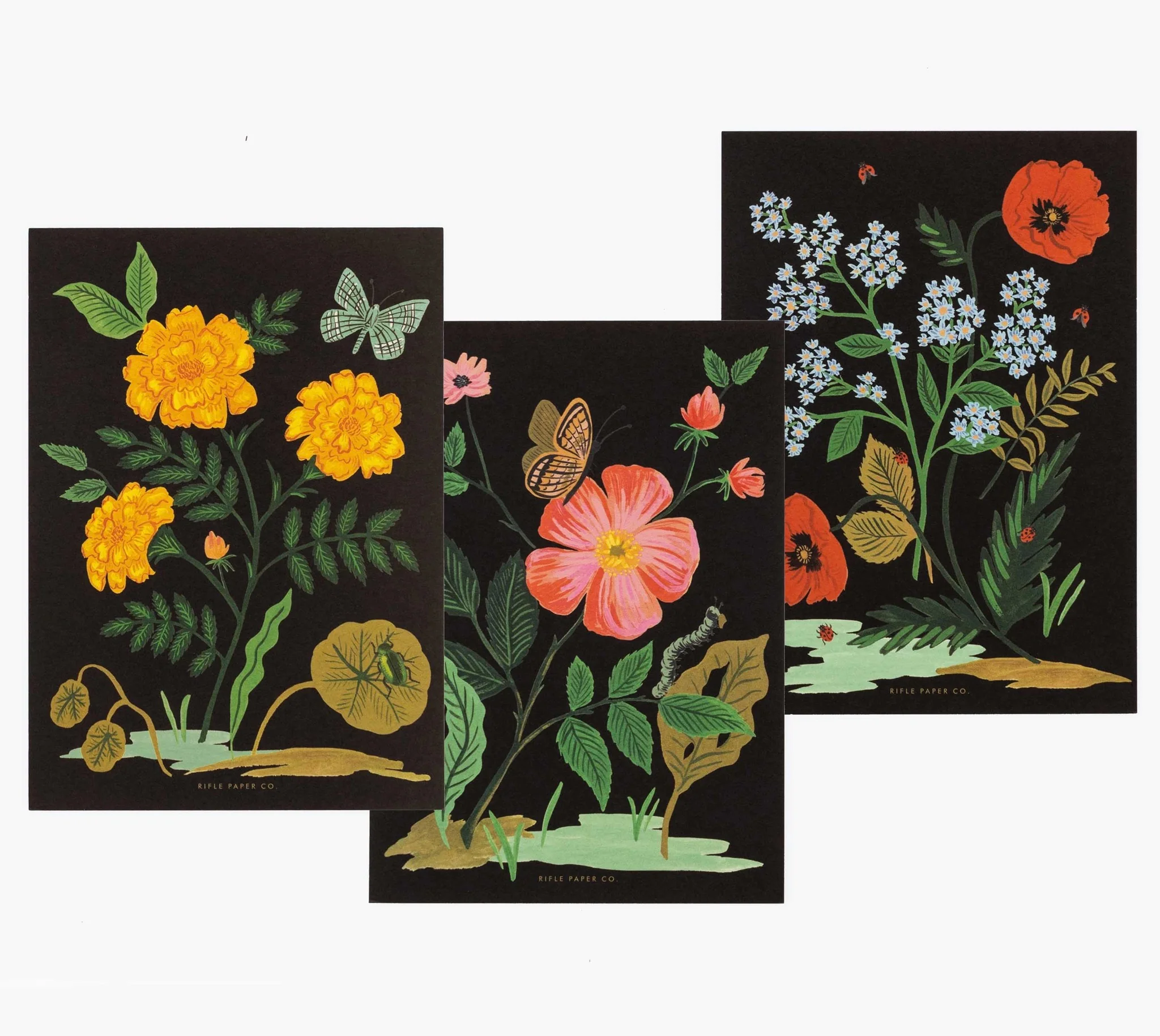 Botanical Social Stationery Set - Image 3