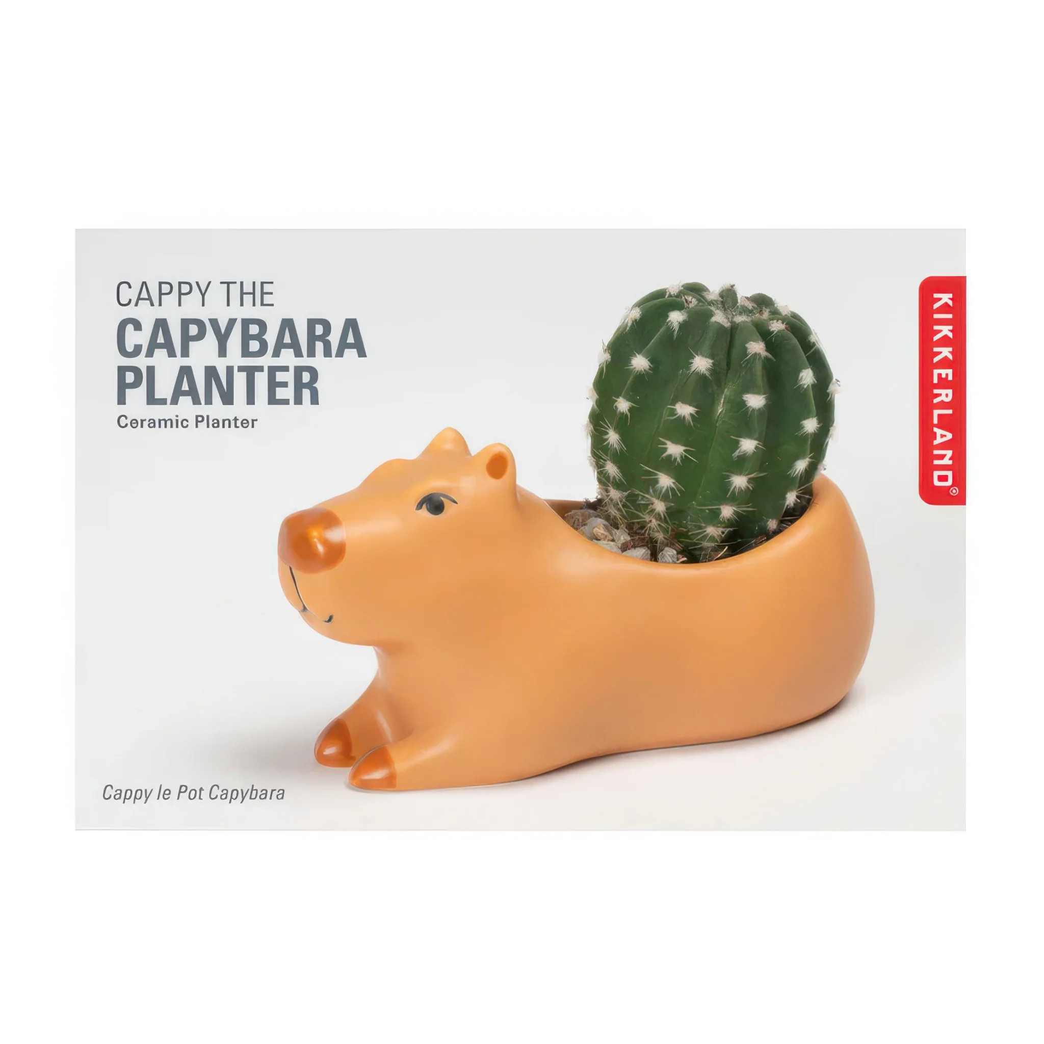 Cappy The Capybara Planter Small - Image 2