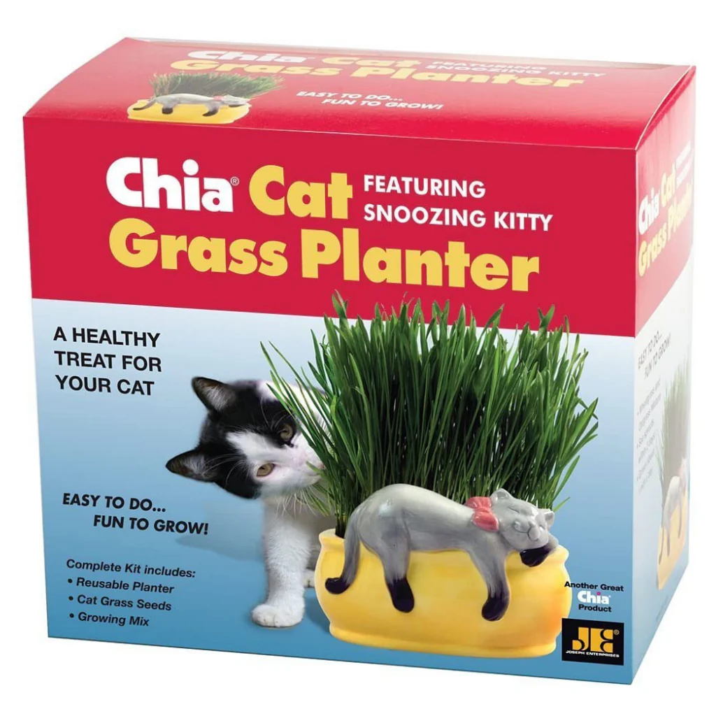 Cat Grass Planter Chia