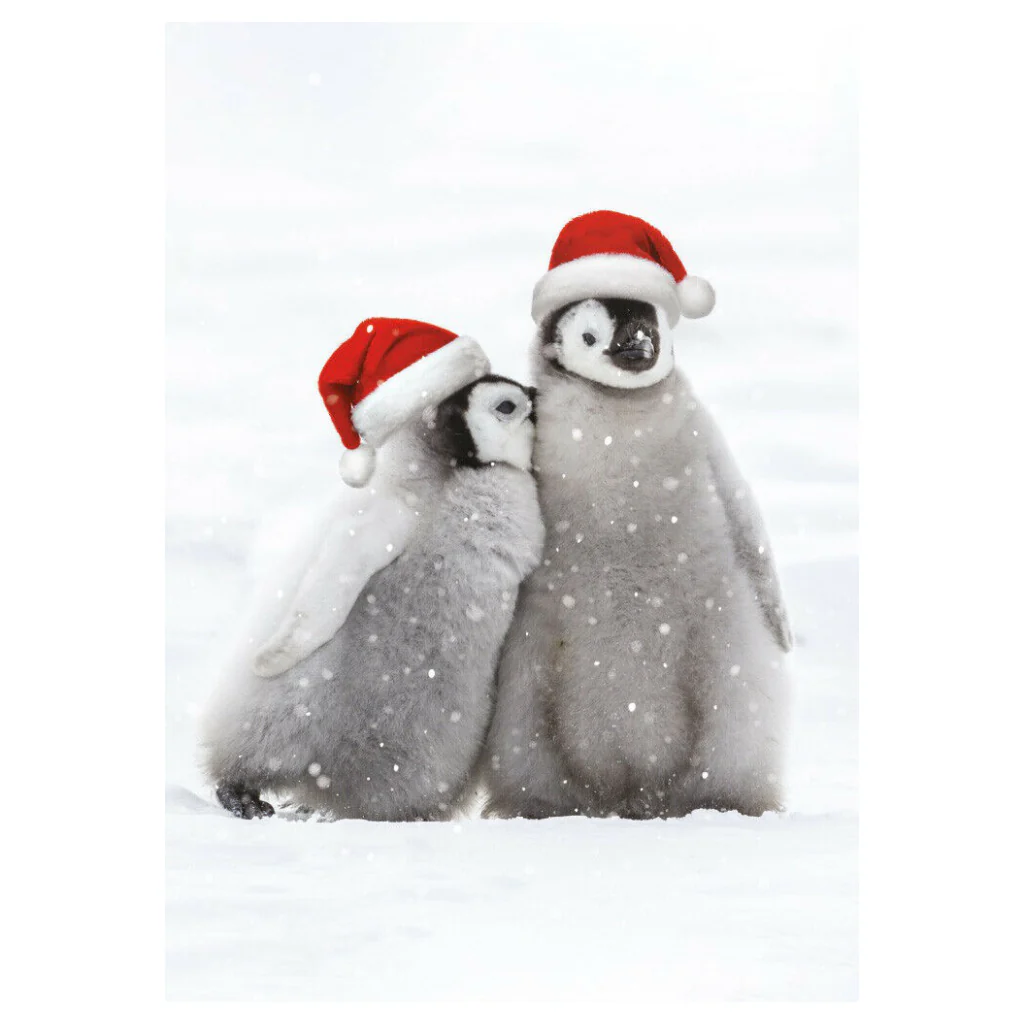 Christmas Animals Boxed Christmas Cards - Image 4