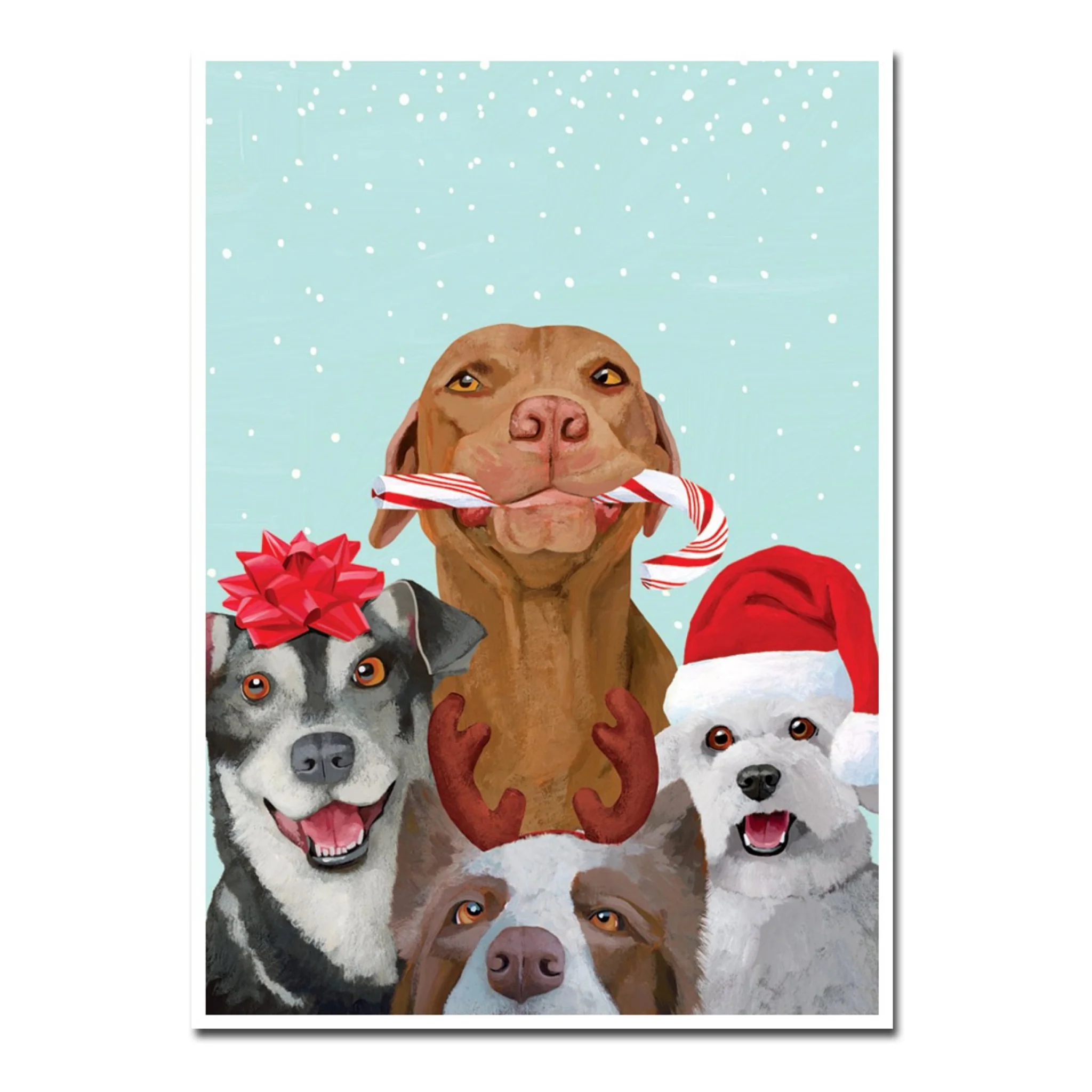 Dog Pals Holiday Card