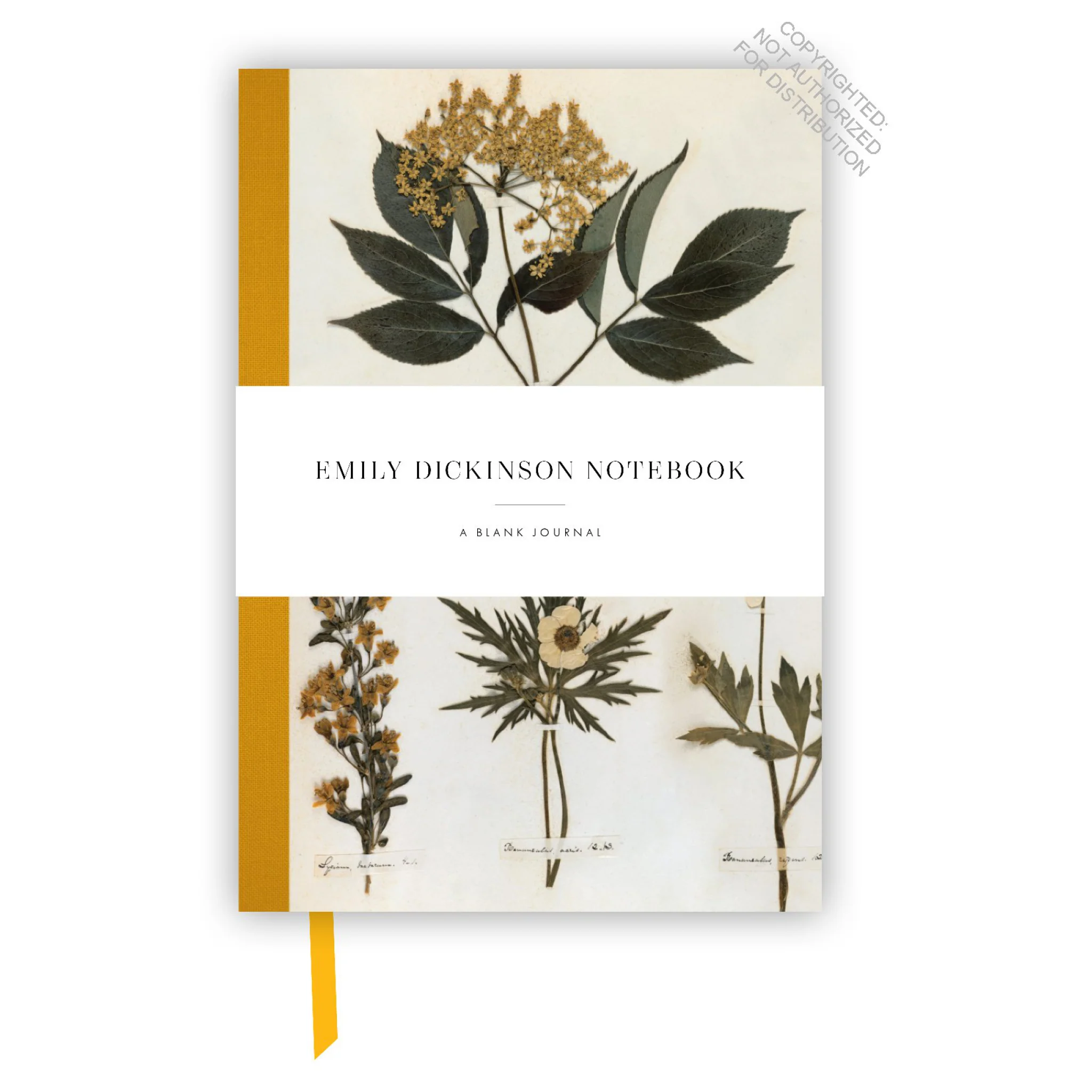 Emily Dickinson Notebook