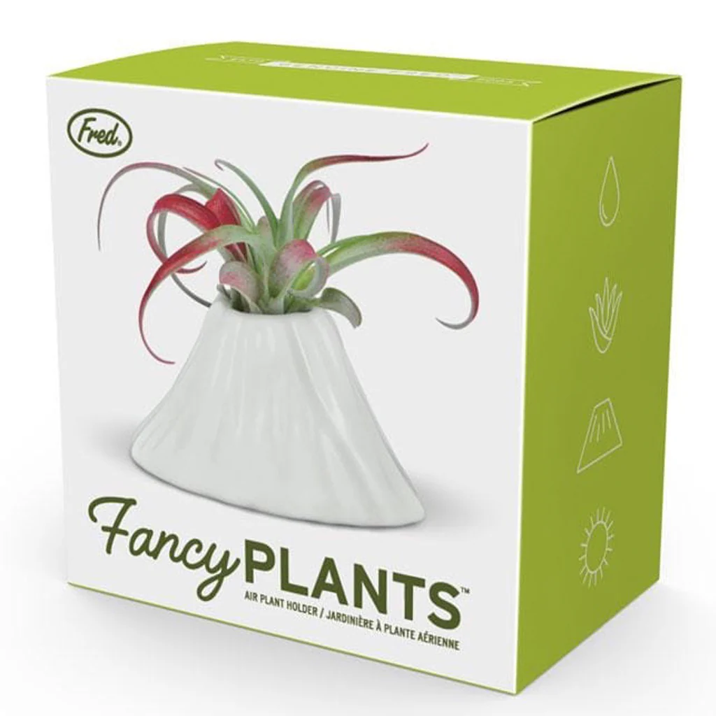Fancy Plants Volcano Air Plant Holder - Image 2