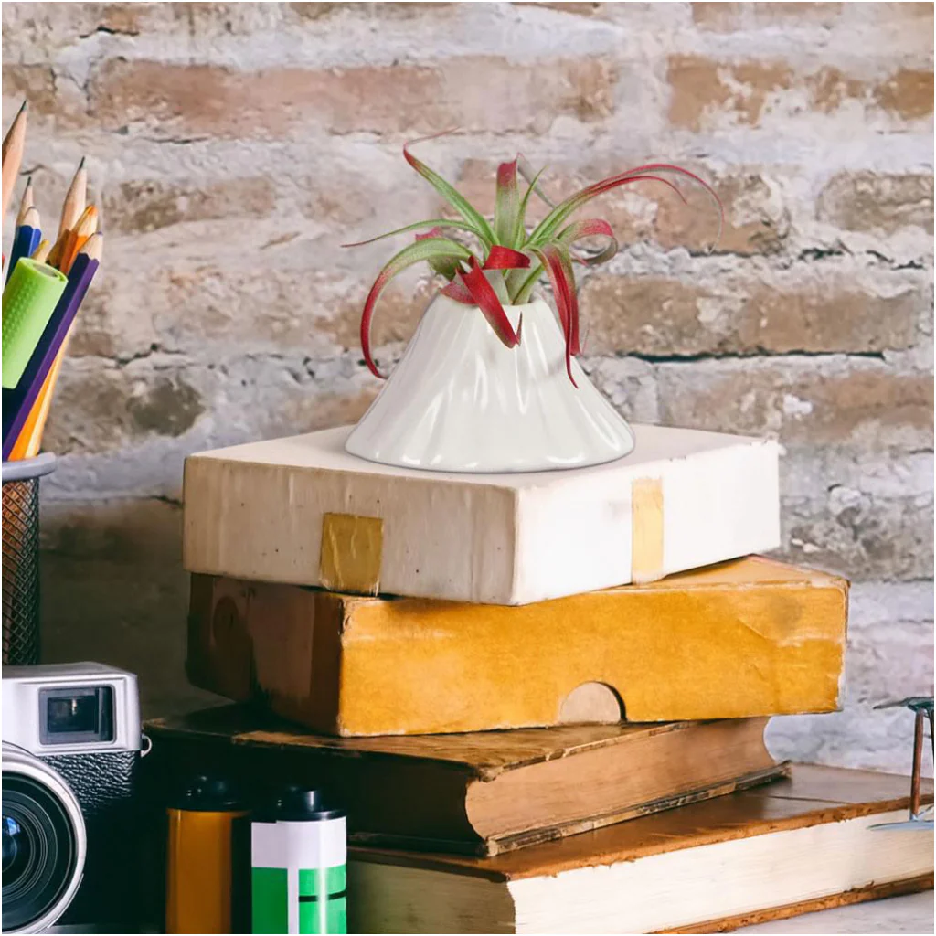 Fancy Plants Volcano Air Plant Holder - Image 3