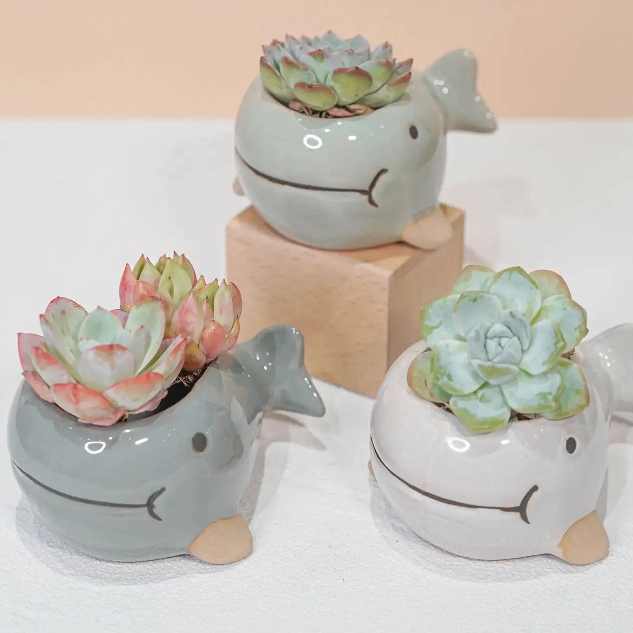 Glazed Whale Planter Pot - Image 2