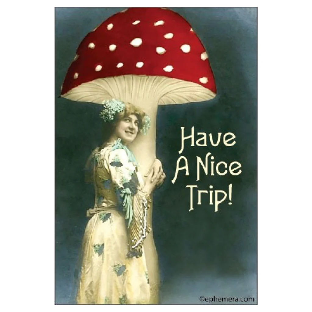 Have A Nice Trip Magnet