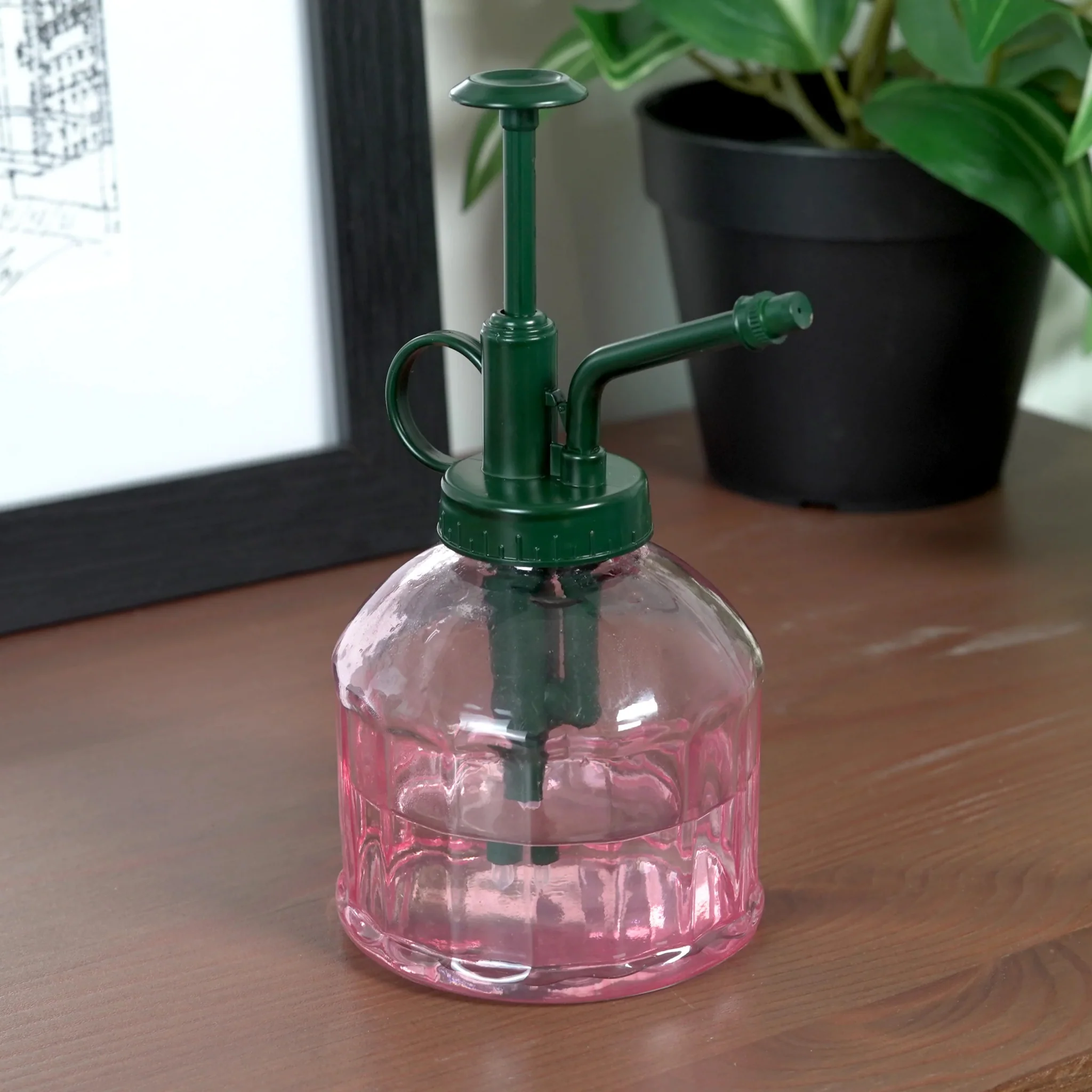 Houseplant Mister