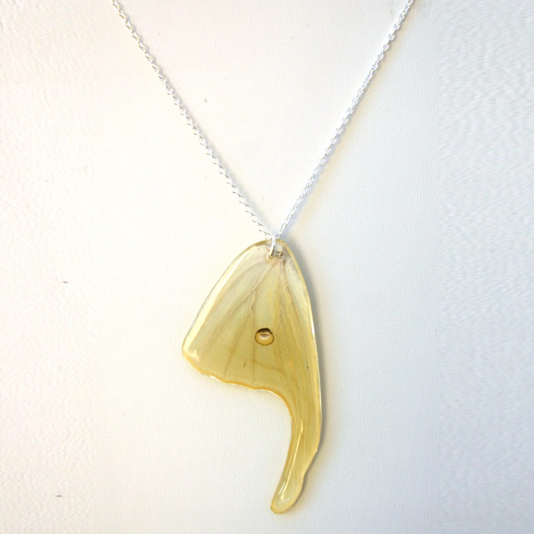 Luna Moth Hind Wing Necklace Silver