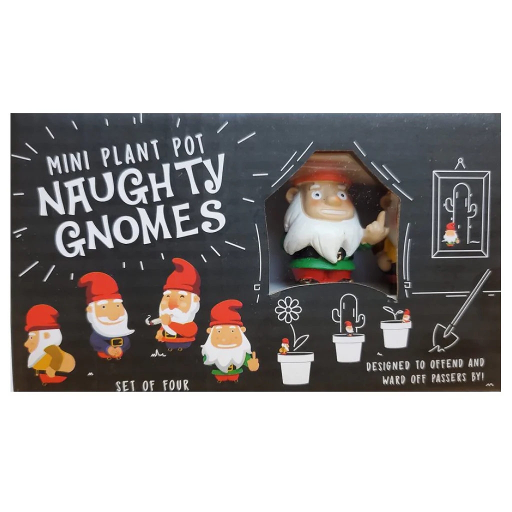 Mini Plant Pot Naughty Gnomes - Image 2