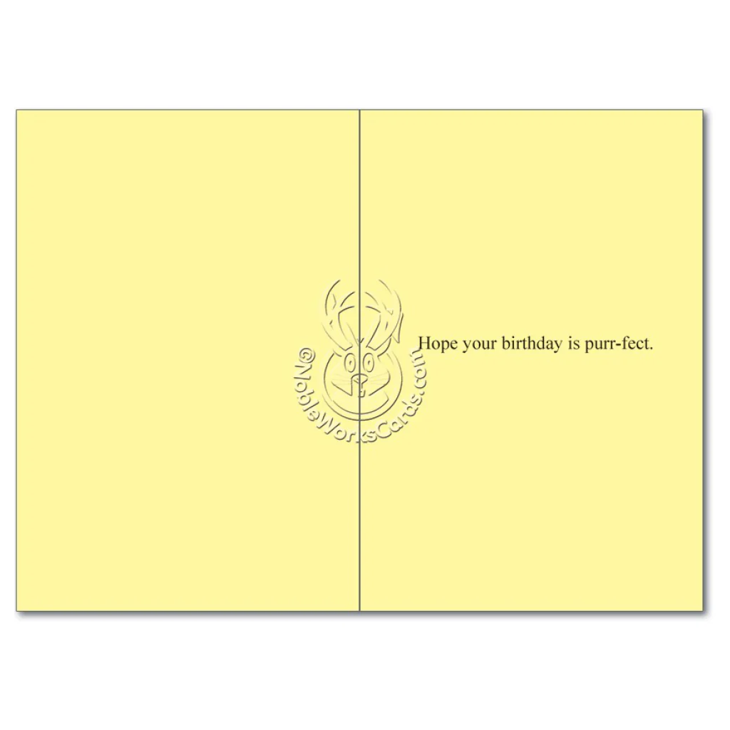 My Cat Says I'm Okay Birthday Card - Image 2