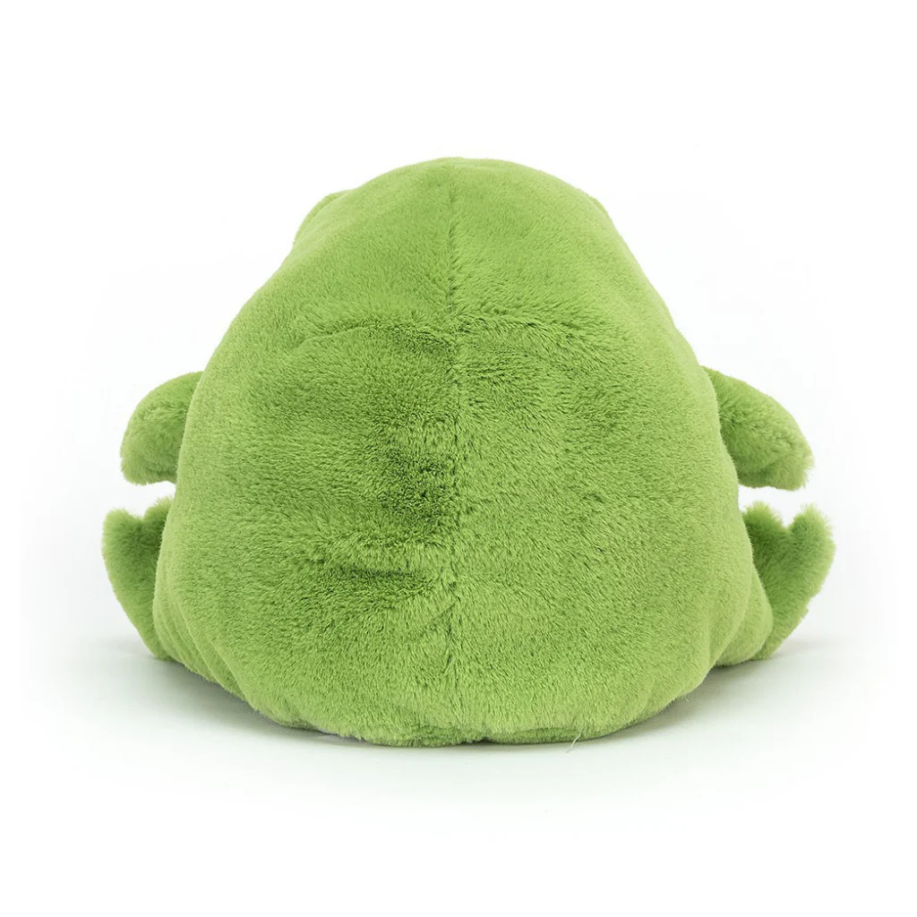 Ricky Rain Frog - Image 3