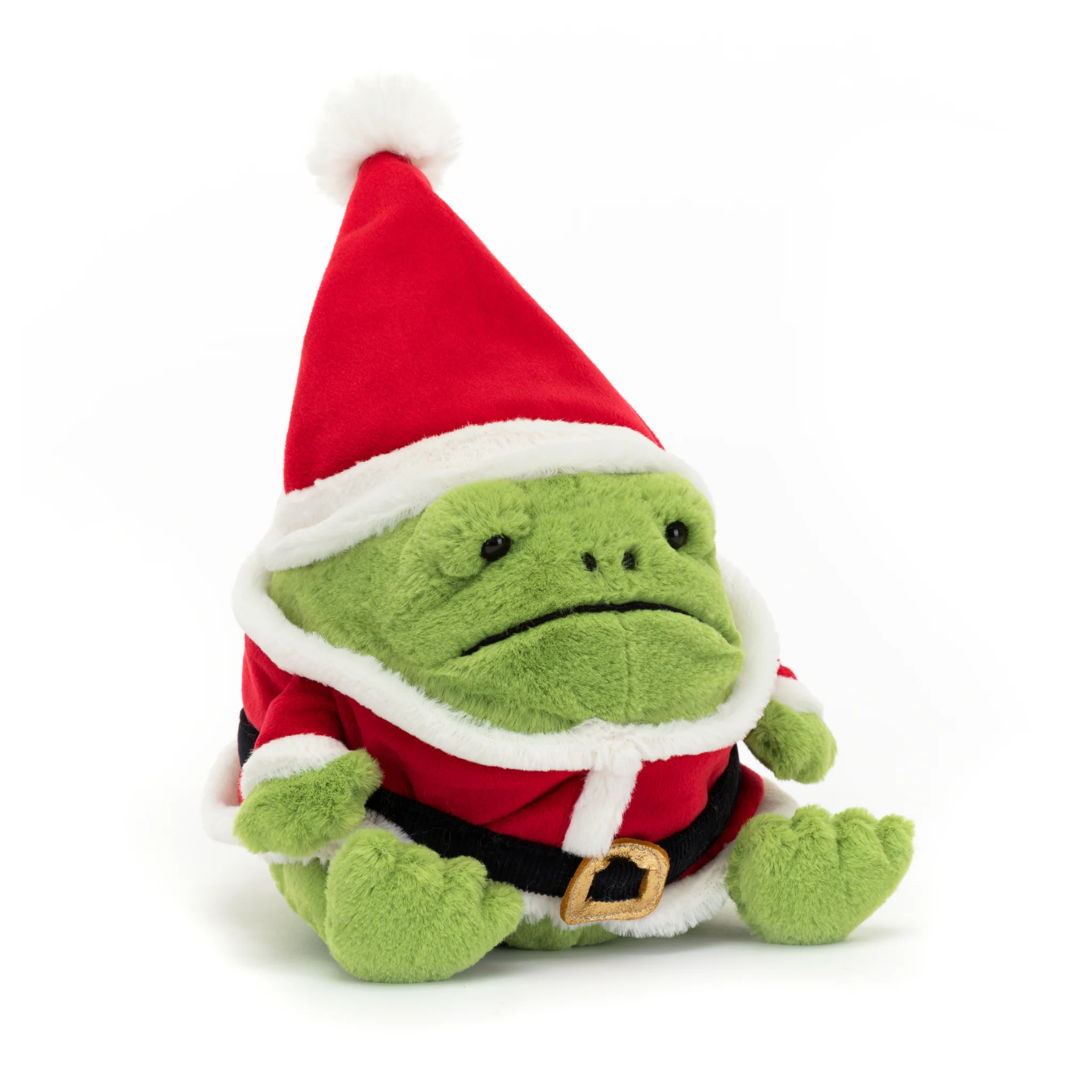 Santa Ricky Rain Frog - Image 2