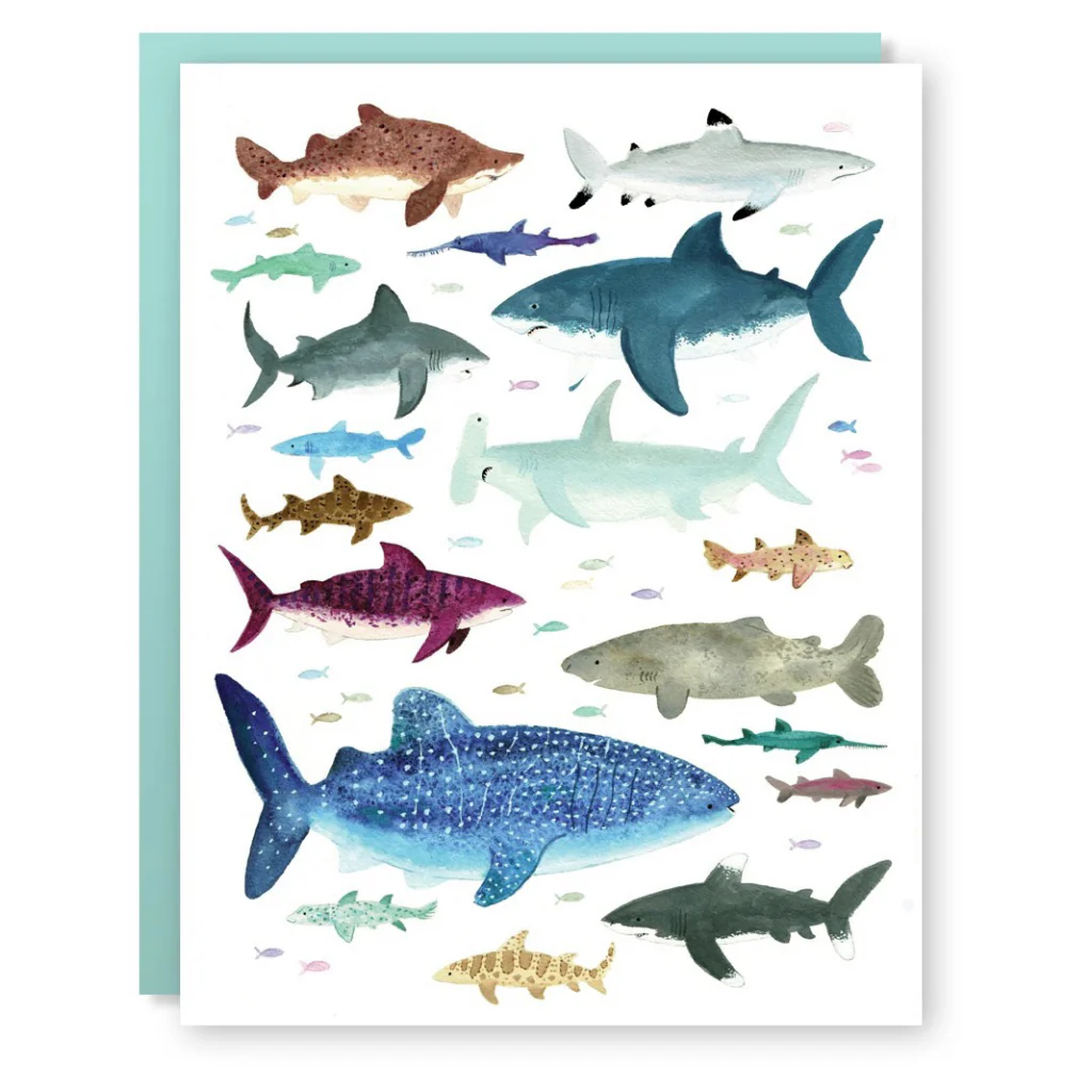 Shark Species Card