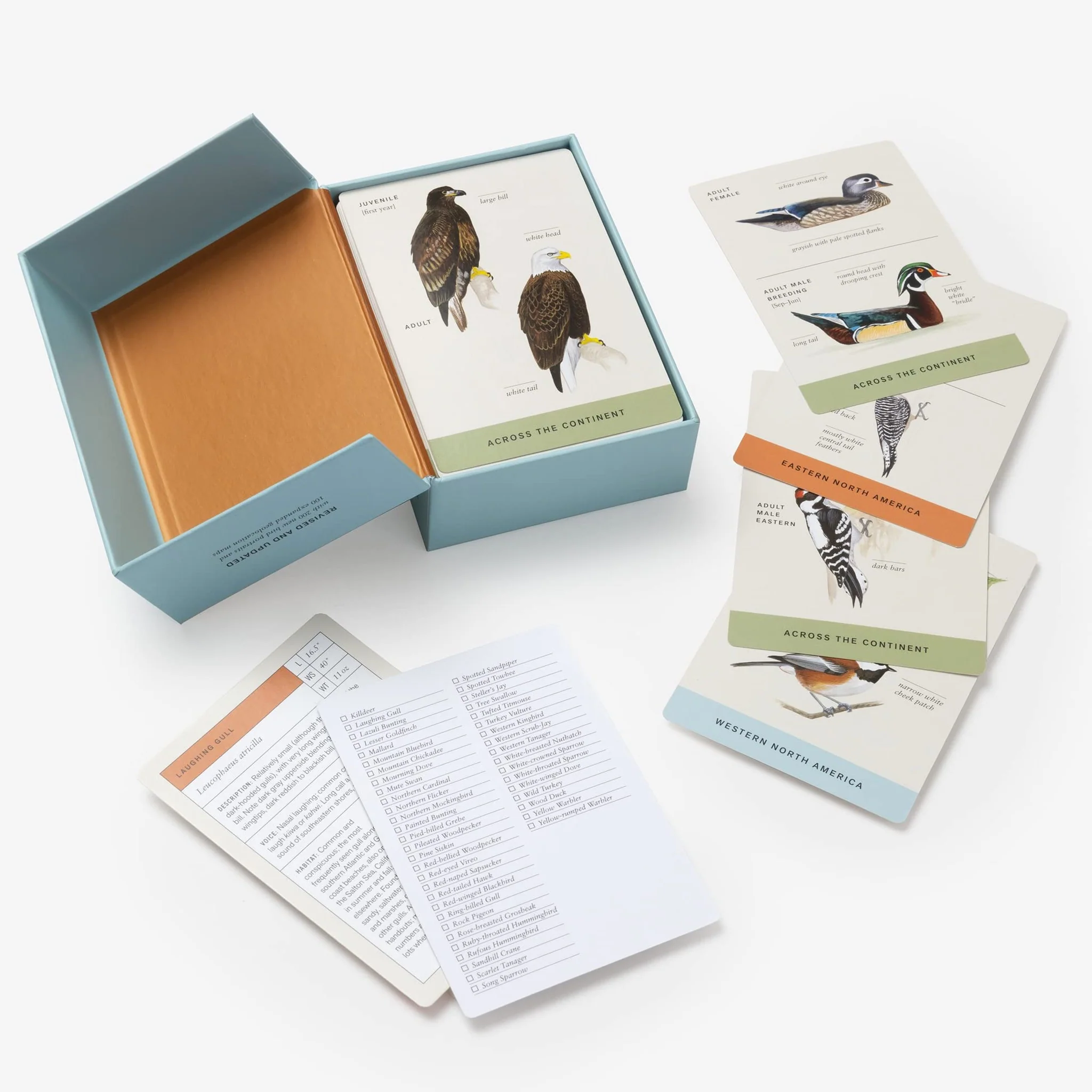 Sibley Backyard Birding Flashcards - Image 2