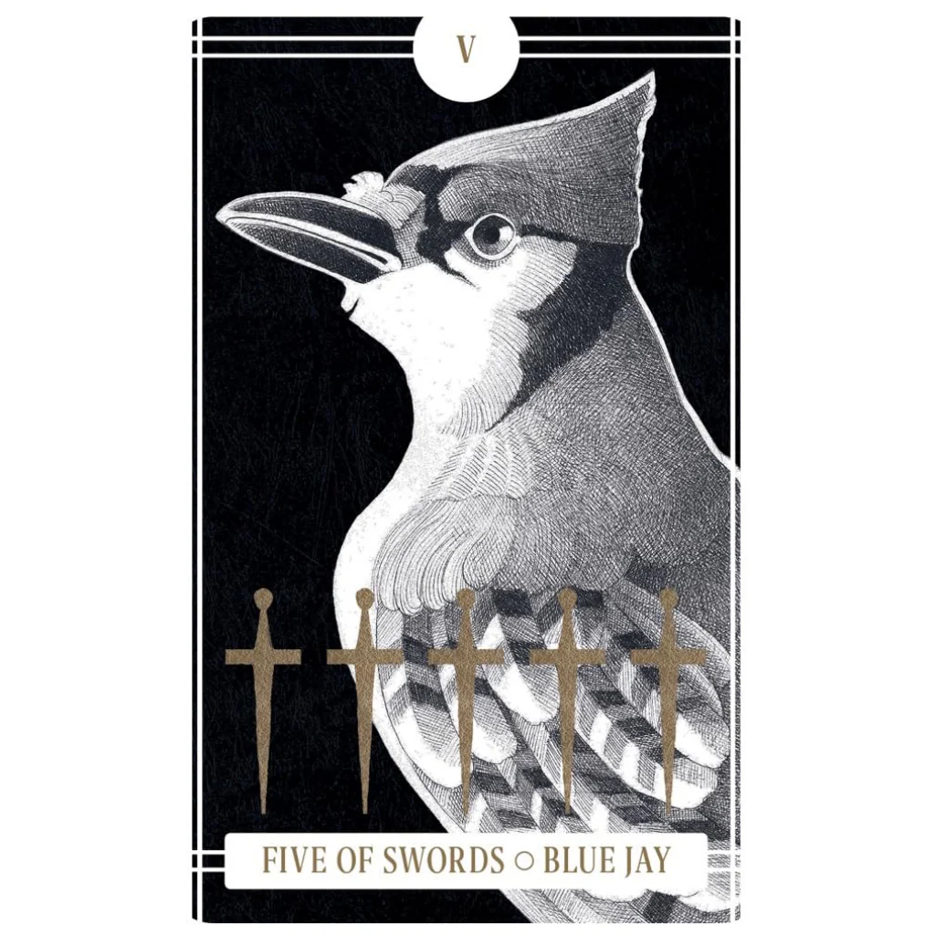 The Avian Tarot - Image 4