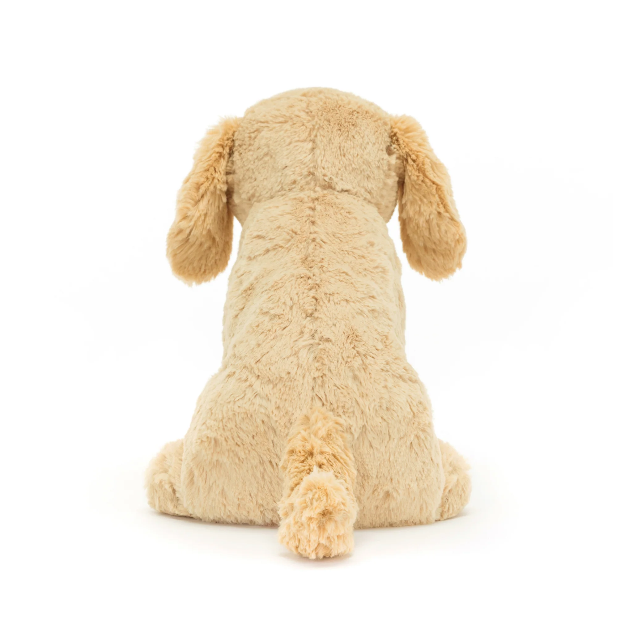 Tilly Golden Retriever - Image 4