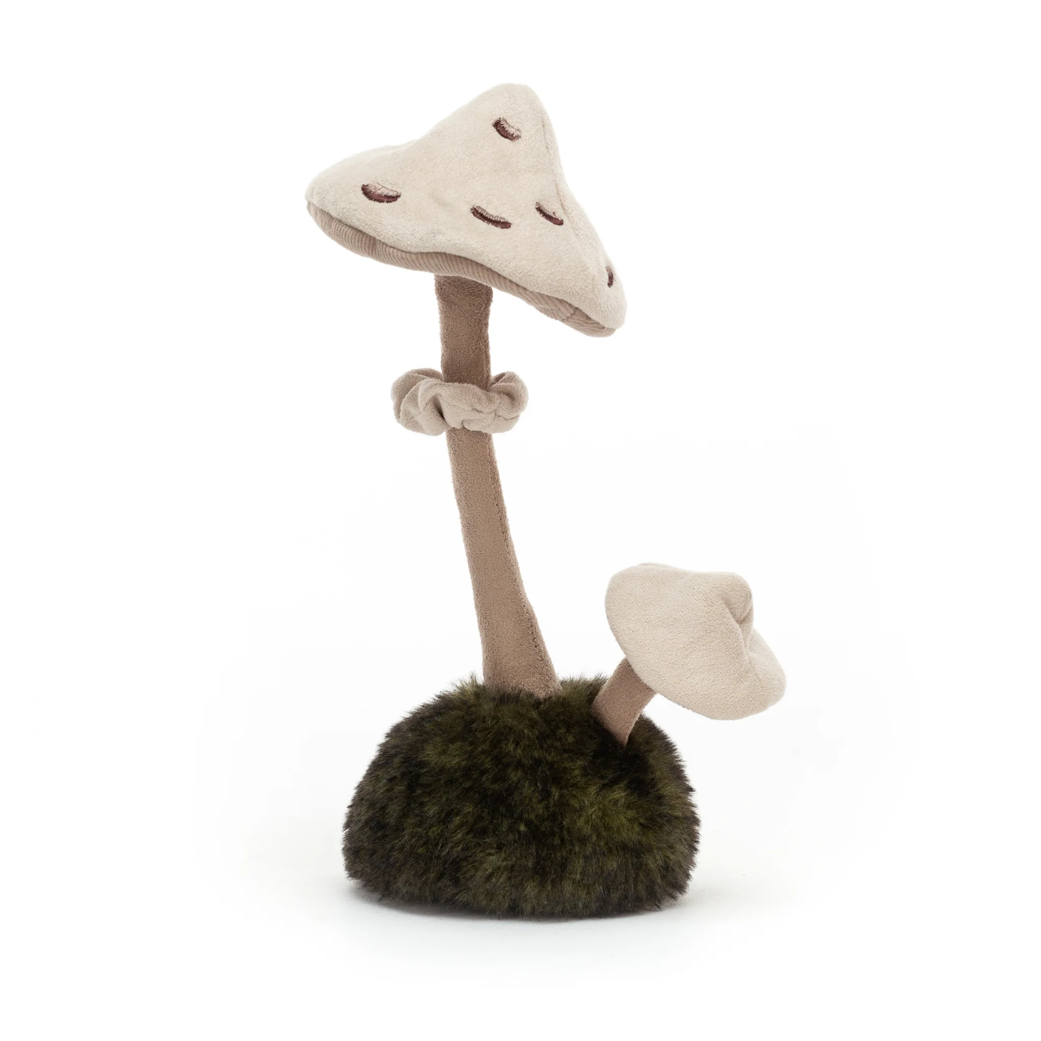 Wild Nature Parasol Mushroom