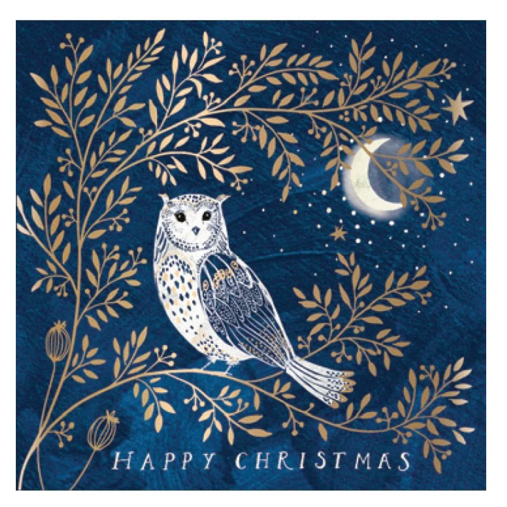 Winter Owl Boxed Christmas Cards