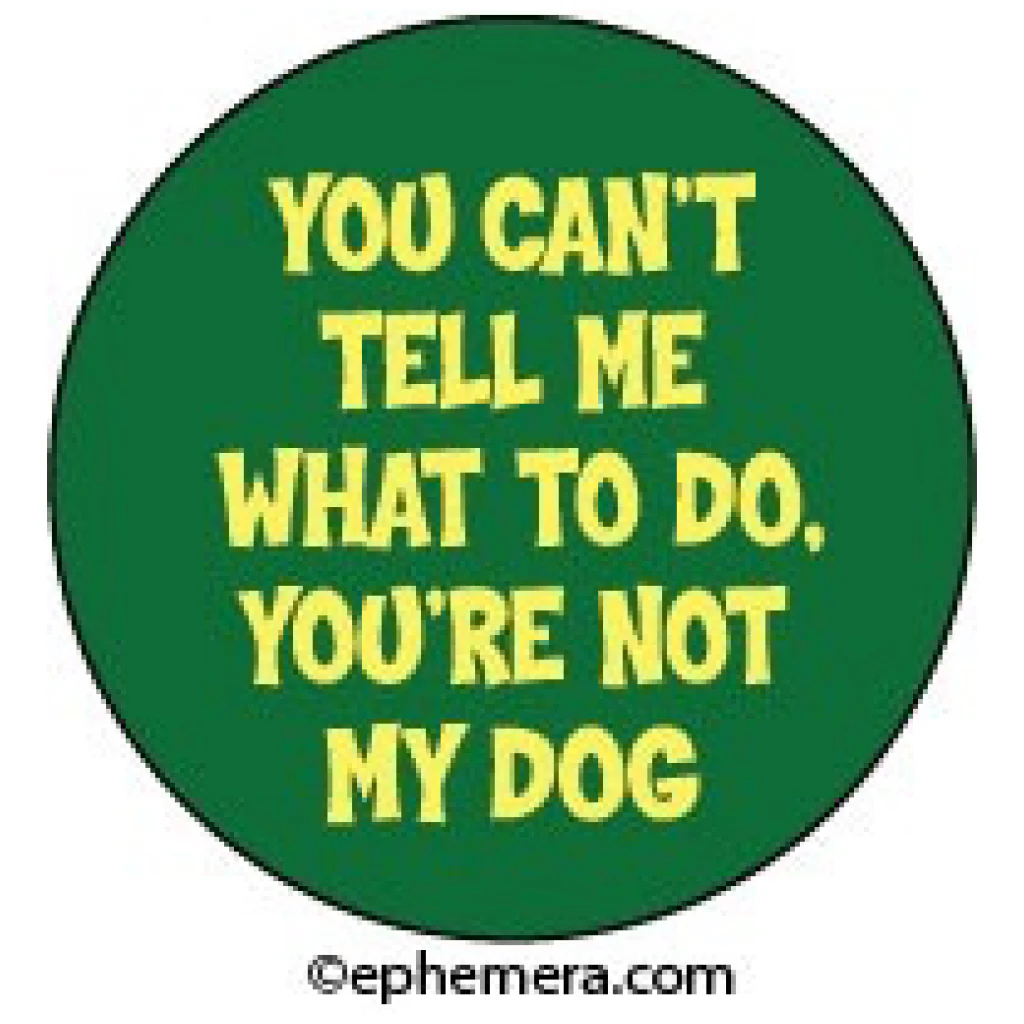 You're Not My Dog Button