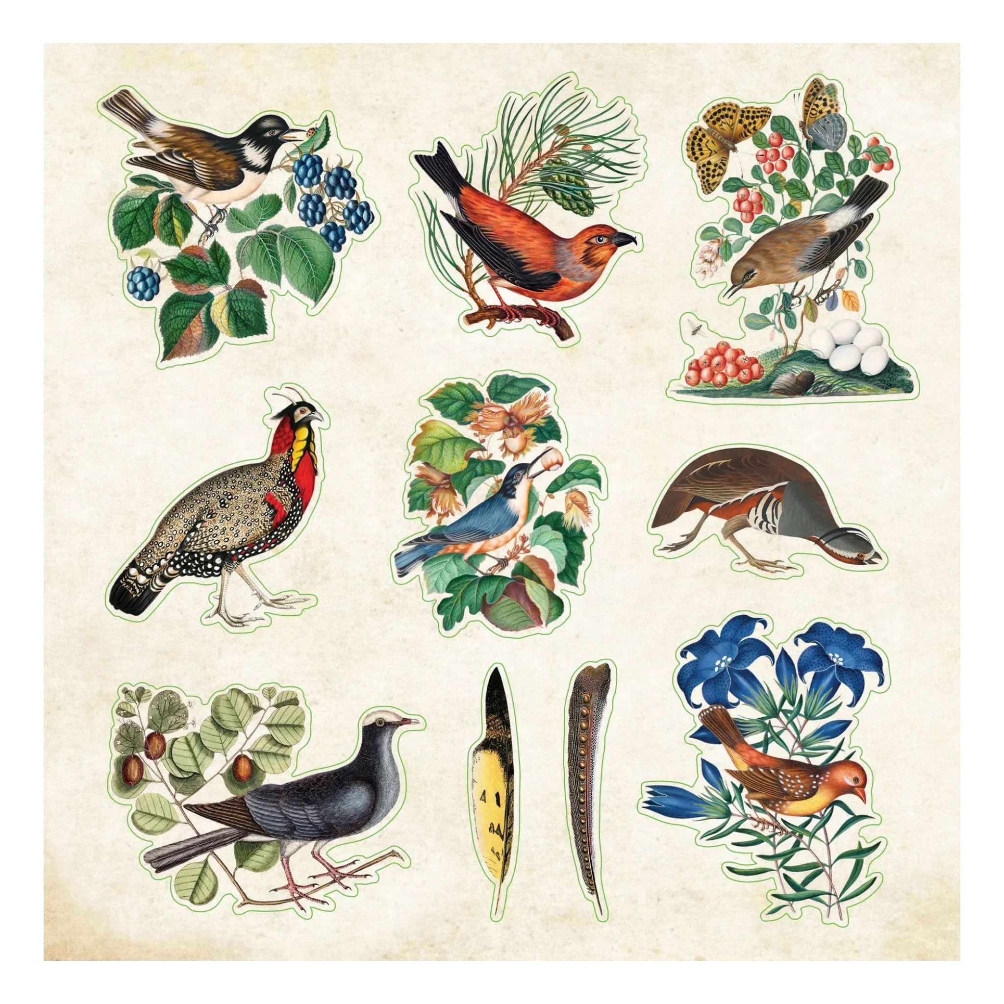 Zoological Ephemera Sticker Book - Image 5